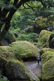 France, Finistère (29), parc naturel régional d'Armorique, Huelgoat, chaos granitique de la forêt du Huelgoat