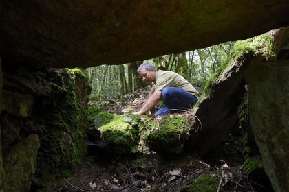 France, Morbihan, Tredion, Coeby forest, dolmen megalithic site discovered by archaeologist Philippe Gouezin still in its raw state