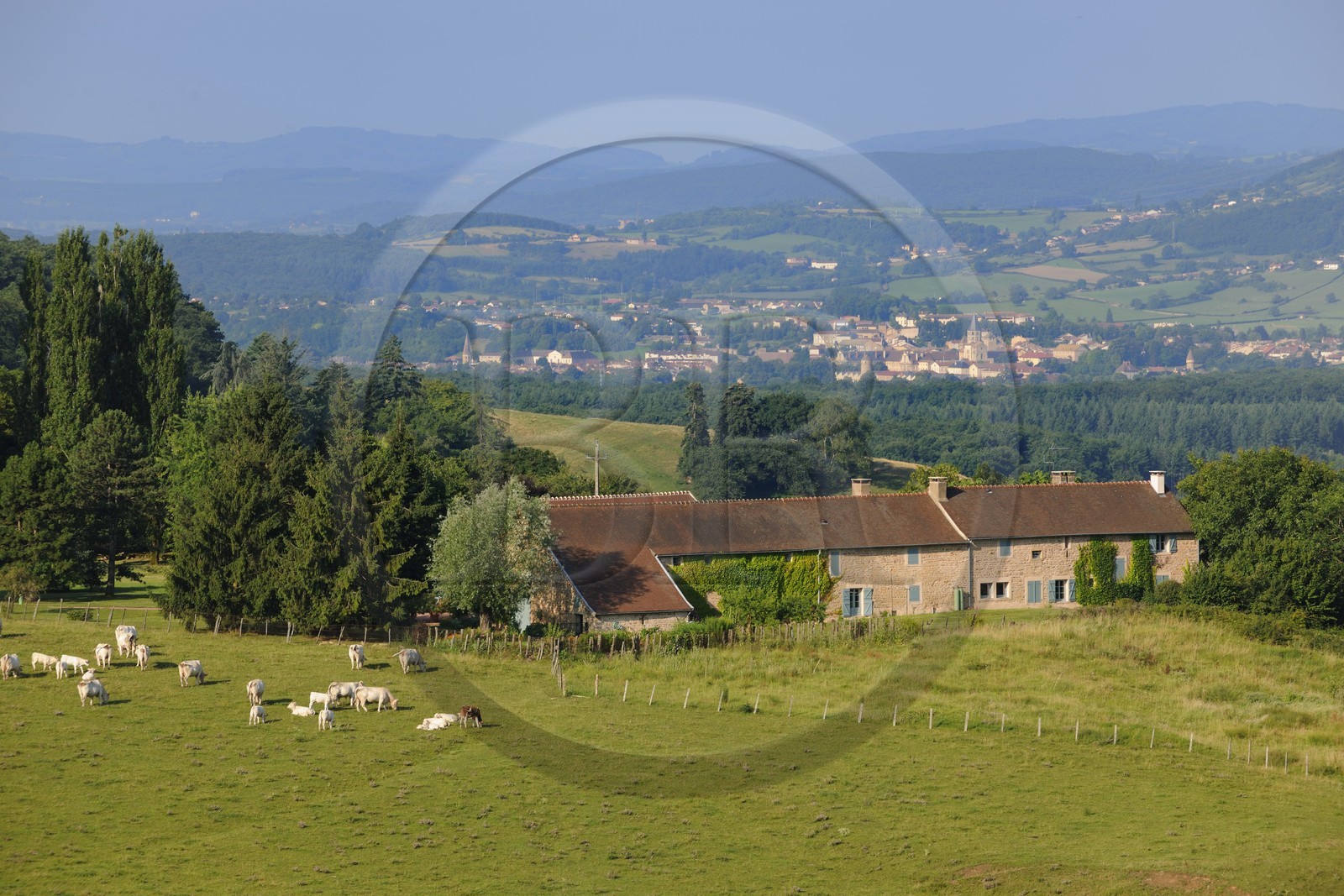 France, Saône et Loire (71), Cluny, ferme dominant la ville