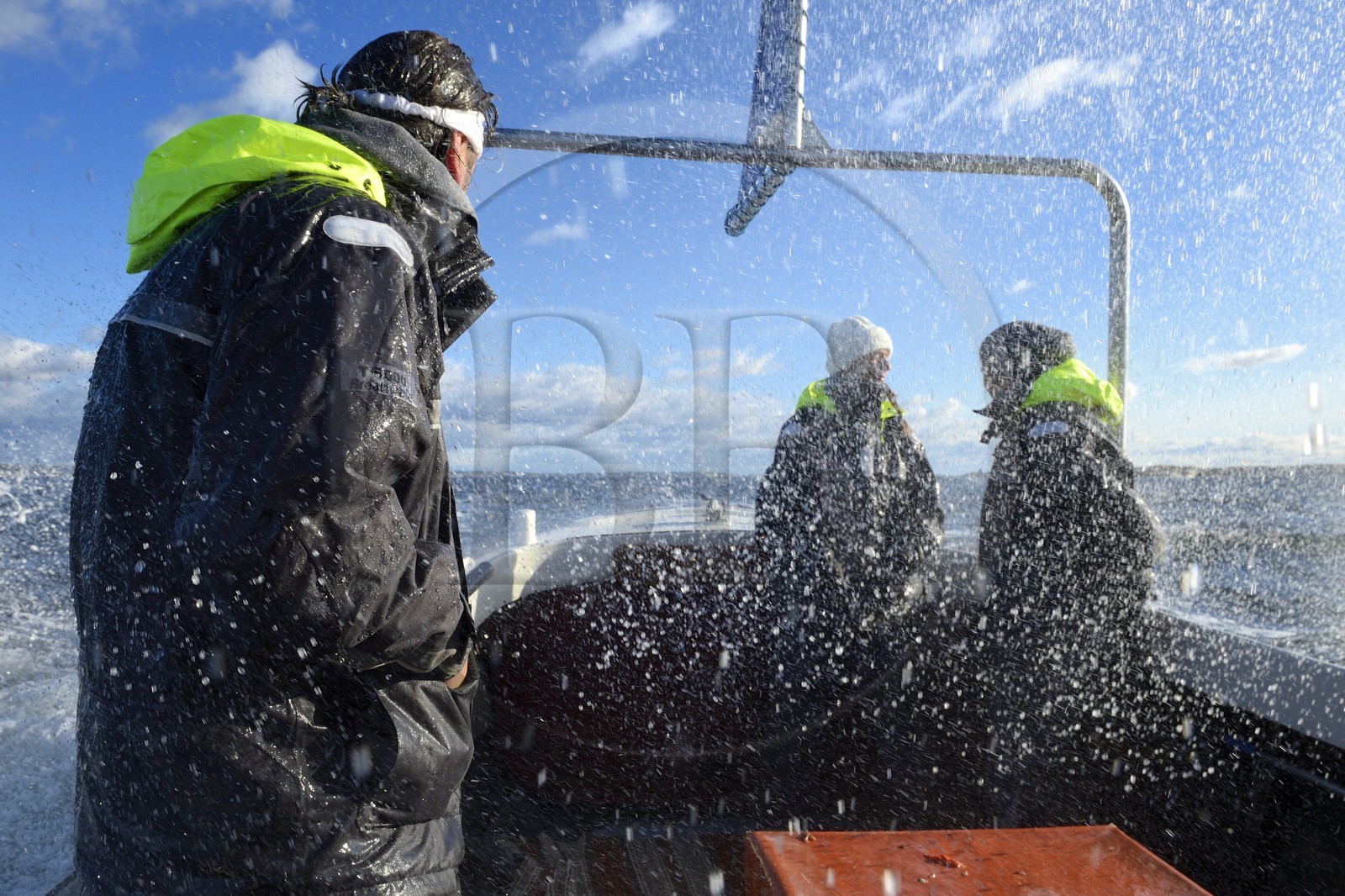 Suède, Västra Götaland, Iles Koster, sortie en mer pour récupérer les casiers à homards