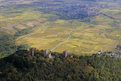 France, Haut-Rhin (68), les trois donjons d'Eguisheim et le village entouré de vignes (photo aérienne)