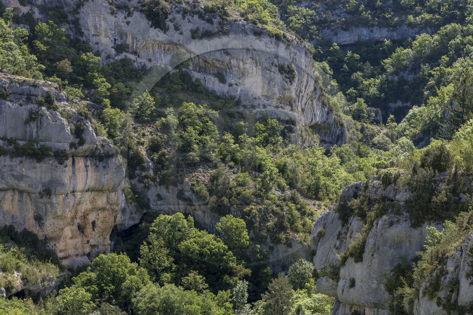 France, Vaucluse (84), Parc naturel régional du Mont Ventoux, Monieux, Gorges de La Nesque,