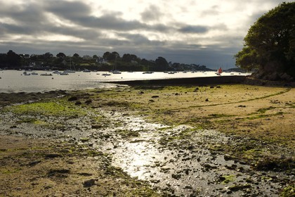 France, Finistère (29), Lannilis, Saint-Pabu face à Prat Ar Coum dans l'Aber Benoit