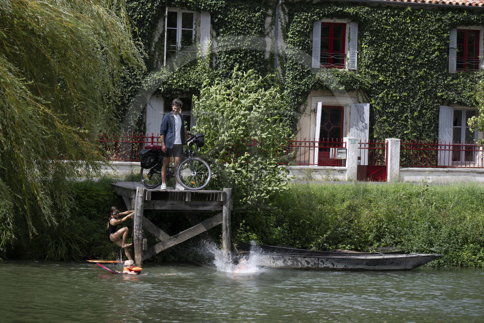 France, Deux-Sèvres, le Marais Poitevin, Green Venice, Le Mazeau, bicycle journey along the Sevre Niortaise River banks on the Vélo Francette cycle path