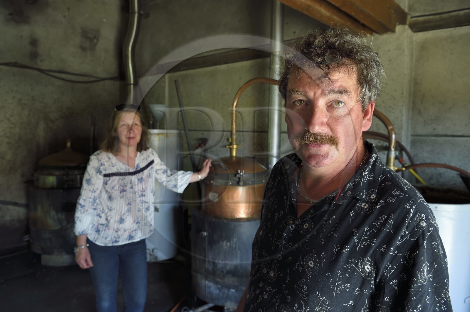 France, Meuse, Lorraine Regional Park, Cotes de Meuse, Combres sous les cotes, Domaine de Muzy, distillation of mirabelle plum brandy at Véronique and Jean-Marc Liénard