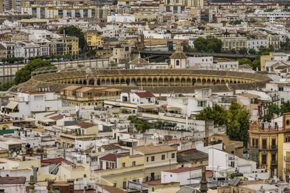 Espagne, Andalousie, Séville, les arênes Maestranza (plaza de Toros) et les toits de la vieille ville