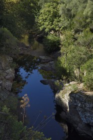 France, Corse du Sud, Prunelli river valley at Palmente