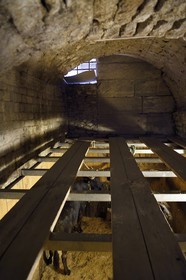 France, Bouches-du-Rhône (13), Arles, les Arènes, amphithéâtre romain de 80-90 après JC, classé Patrimoine Mondial de l'UNESCO, taureaux dans le toril situé sous les tribunes