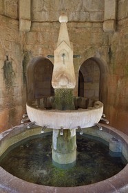 France, Var, the Thoronet cistercian abbey, the cloister fountain