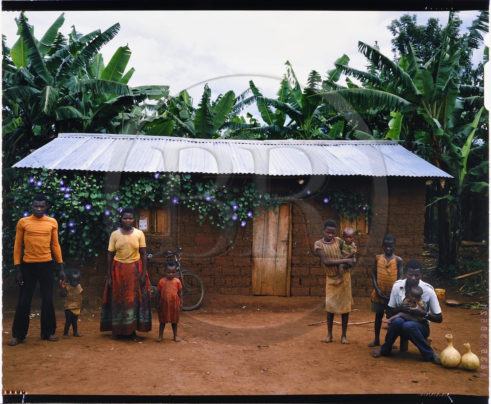 Burundi, province de Kirundo, région du lac Cyohoha Sud aussi appelé lac Cohoha, famille de paysans Hutu posant devant une case moderne, l'habitat traditionnel disparaît au profit de cases carré en terre battue, recouverte ou non de tôle ondulée (reproduction plan-film inversible 4x5)