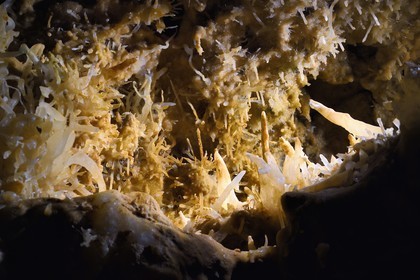 France, Dordogne, Périgord Noir, Les Eyzies-de-Tayac, a UNESCO World Heritage Site, tangle of crystallizations in the Grand-Roc cave