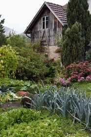 France, Haut Rhin, Ballons des Vosges Regional Natural Park, Storckensohn towards Fellering, vegetable garden
