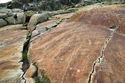 France, Alpes-Maritimes (06), parc national du Mercantour, Vallée des Merveilles parsemée de milliers de gravures rupestres de l'Age de bronze, dalles de schiste jaune des chiappes, la plus grande figure corniforme de la vallée et une autre figure corniforme représentant probablement un attelage de bœufs et son araire