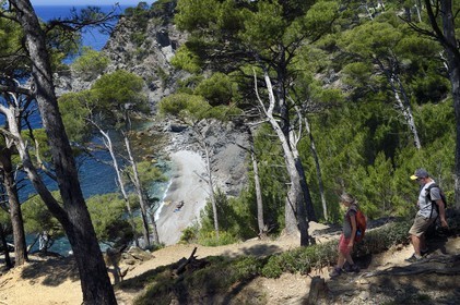 France, Var, Six Fours les Plages, hike in the Cap Sicie massif, Mont Salva beach towards Le Brusc