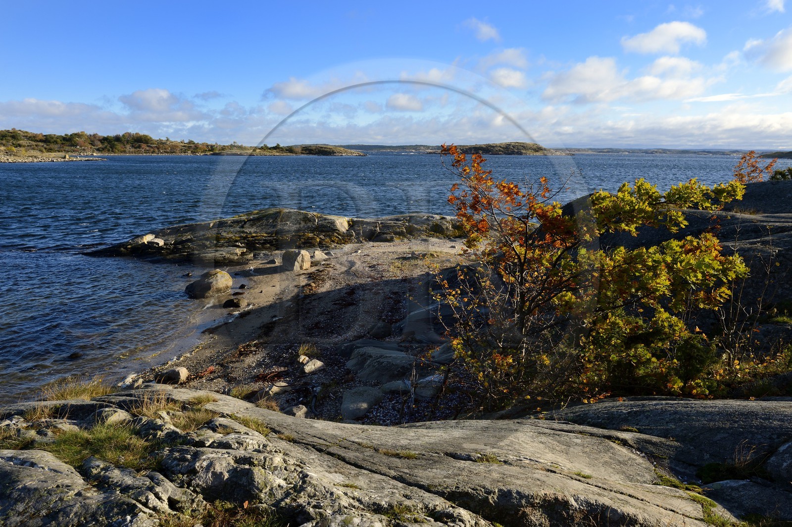 Suède, Västra Götaland, Iles Koster, plage de sable de Sydkoster au sud d'Ekenäs