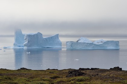 Groenland, cote ouest, Ile de Disko, Qeqertarsuaq, icebergs dans la brume le long de la côte