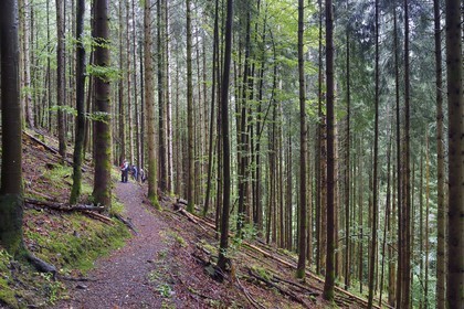 France, Haut Rhin, Ballons des Vosges Regional Natural Park, hikers going up the Storckensohn valley to the top of the Tete des Perches