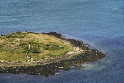 France, Morbihan, Gulf of Morbihan (Golfe du Morbihan), Er Lannic island with a Cromlech megalithic site (aerial view)