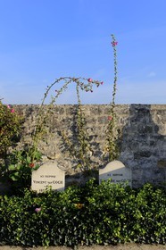 France, Val d'Oise, French Vexin Regional Natural Park, Auvers sur Oise cemetery, Vincent and Theodore Van Gogh graves