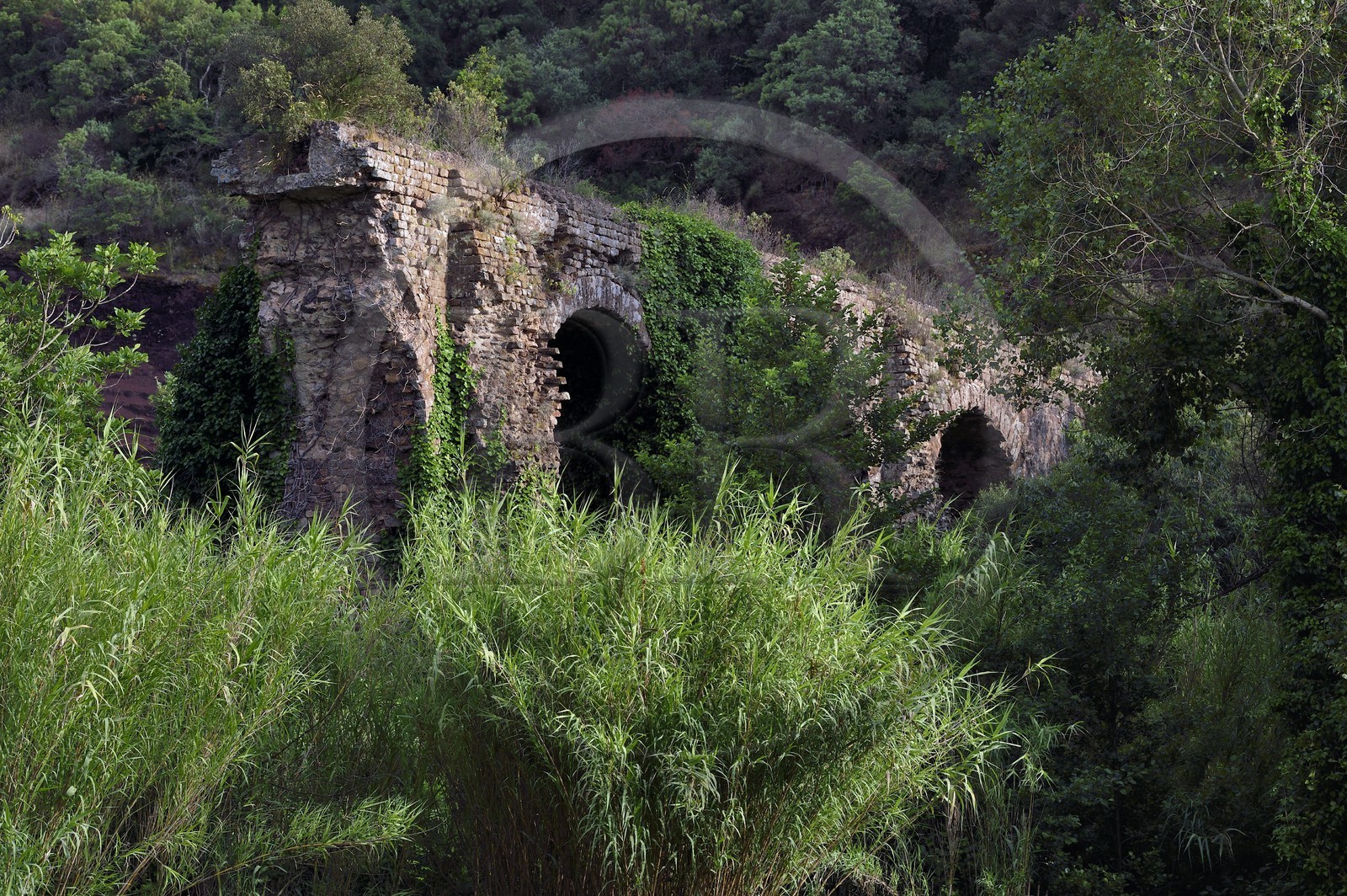 France, Var (83), Fréjus, l'aqueduc romain du Ier siècle av. J-C au nord de la ville