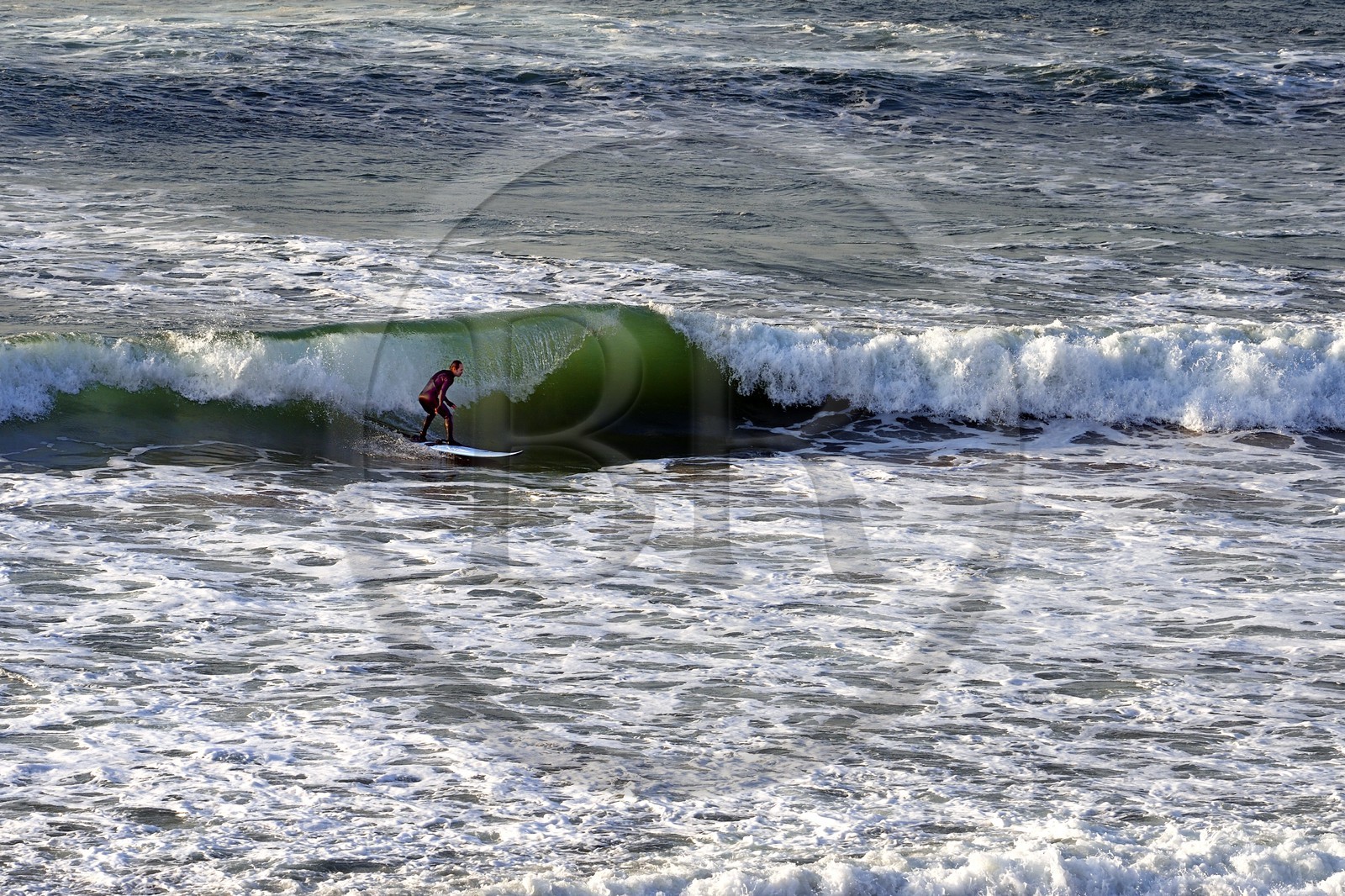 France, Pyrénées-Atlantiques (64), Pays-Basque, Biarritz, surfer à la Grande Plage