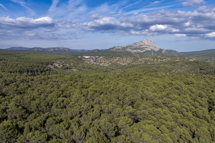 France, Bouches-du-Rhône (13), Aix en Provence, la forêt sur le plateau de Bibemus et la montagne Sainte Victoire en arrière plan (vue aérienne)