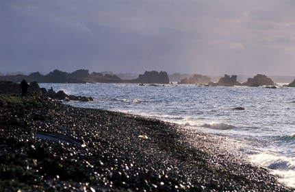 France, Côtes d'Armor, Presqu'île Sauvage in the Treguier region