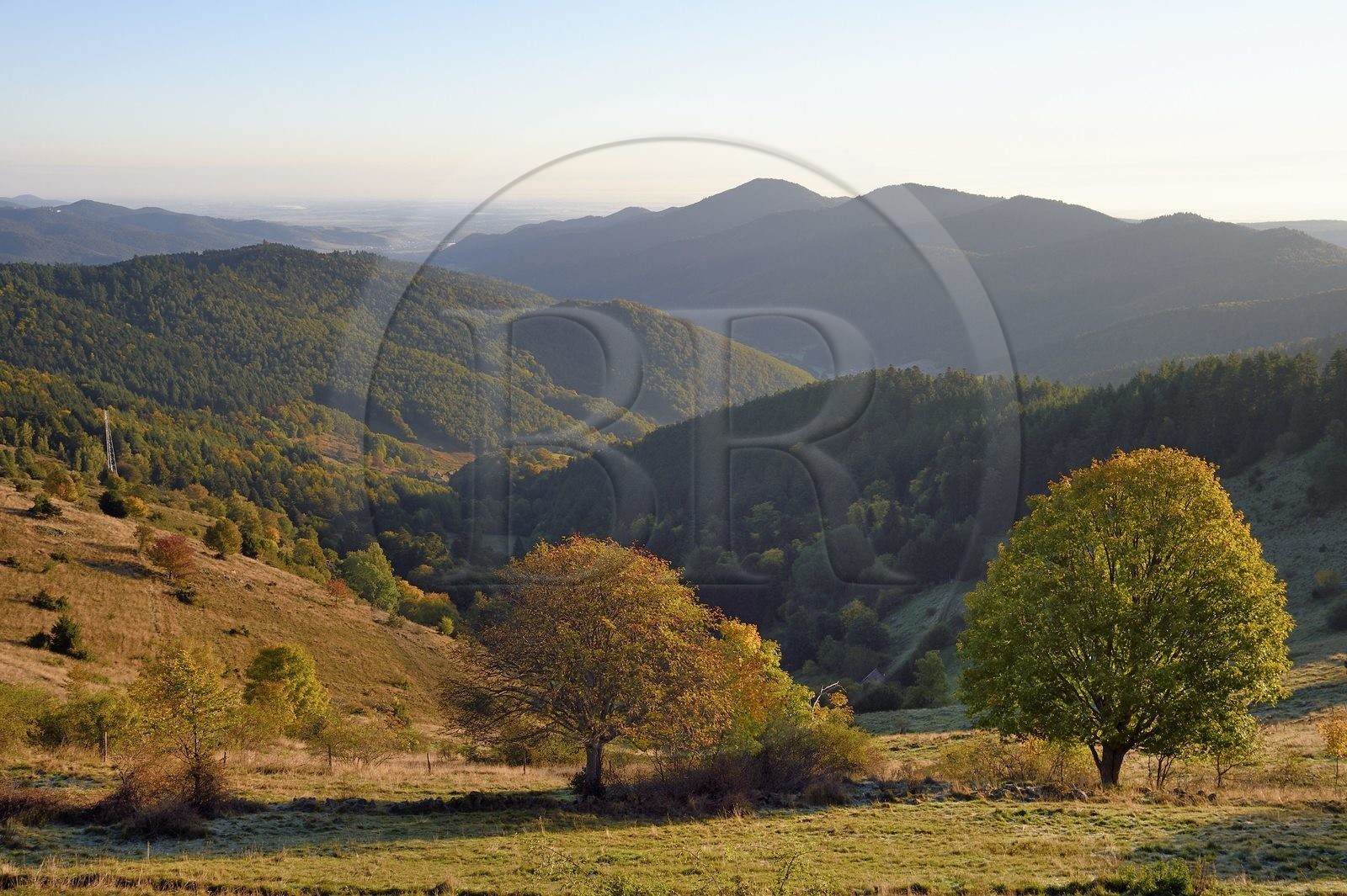 France, Haut-Rhin (68), Wasserbourg, massif des Vosges en bordure de la plaine d'Alsace (en arrière plan) depuis le Petit Ballon