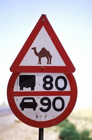 Jordan, Petra, a road prohibited for camels