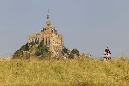 France, Ille-et-Vilaine (35), le Mont-Saint-Michel depuis la digue des polders