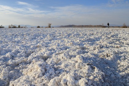 Iran, Province d'Ispahan, désert du Dasht-e Kavir, Khur, désert de sel qui émerge de la terre par capilarité après les pluies