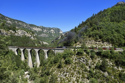 France, Alpes-Maritimes, Alpes de Haute Provence, les scaffarels around Annot, the Train des Pignes historic train crossing the Donne viaduct