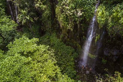 France, Ile de la Reunion, Parc national de La Réunion, classé Patrimoine Mondial de l'UNESCO, Sainte-Rose, anse des Cascades, enfants créoles se baignant sous une cascade (vue aérienne)