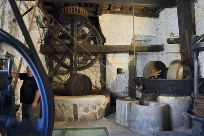 France, Corse-du-Sud (2A), Alta Rocca, Sainte-Lucie-de-Tallano (Santa Lucia di Tallà), U Franghjonu, moulin à huile datant du XVIIIème siècle qui abrite le musée de l'oléiculture