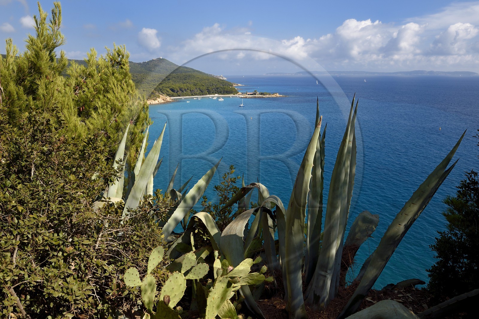 France, Var, Bormes les Mimosas, view from Brégancon Fort on Pointe de la Galère, in the background right the Levant Islands