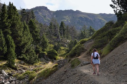 France, Hautes Pyrenees, Saint Lary Soulan and Vielle-Aure, hike on a variant of the GR10 between the Portet pass and the Bastan lakes on the edge of the Neouvielle nature reserve