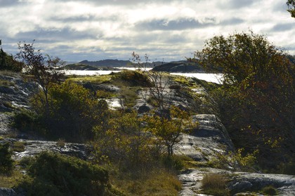 Suède, Västra Götaland, Iles Koster, la côte de Sydkoster