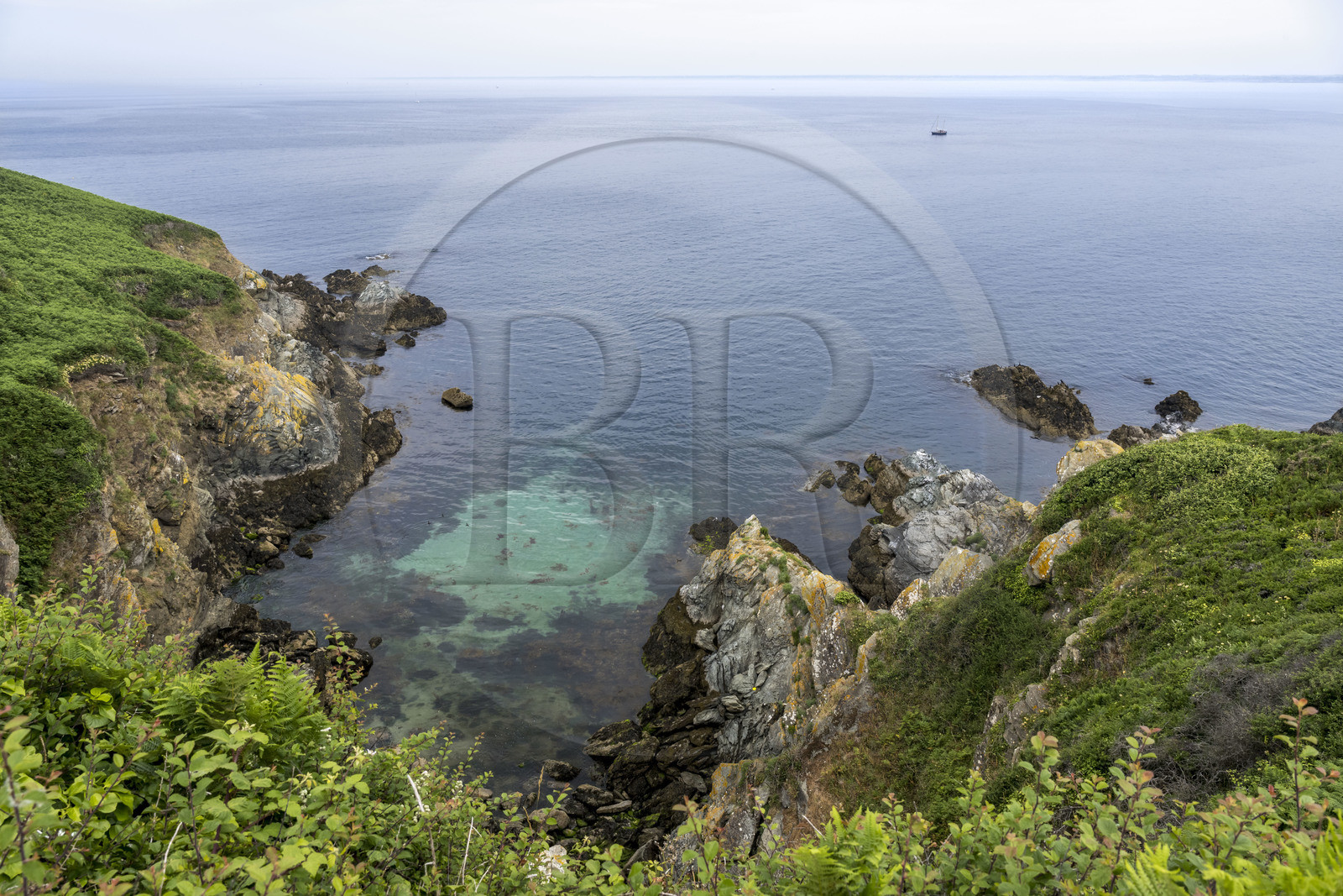 France, Morbihan (56), Ile de Groix, la réserve naturelle Francois Le Bail de la Pointe de Pen-Men France, Morbihan (56), Ile de Groix, la réserve naturelle Francois Le Bail de la Pointe de Pen-Men