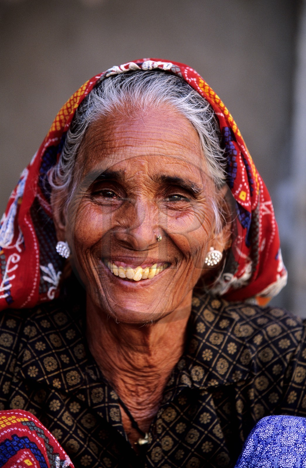 Inde, état du Rajasthan, région du Shekhawati, ville de Mandawa, femme du Shekhawati