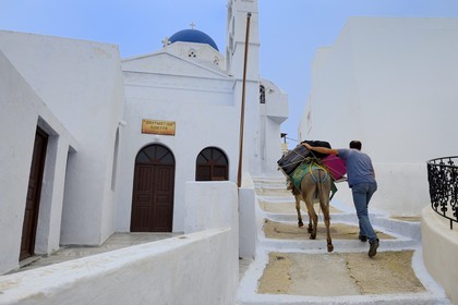 Grèce, Les Cyclades, mer Égée, île de Santorin (Thira ou Théra), village de Pyrgos, montée des bagages à dos d'âne
