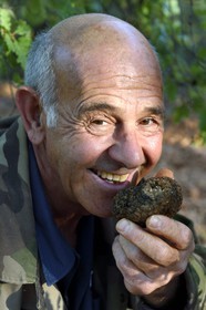 France, Var (83), Bauduen, Domaine du Hameau des Clos, le trufficulteur Marcel Demaria et truffe blanche d’été (Tuber aestivum) dite encore truffe de la Saint-Jean