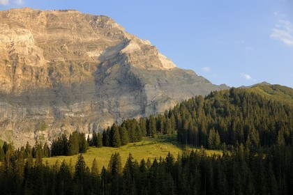 Switzerland, canton of Vaud, Les Diablerets at Col de la Croix