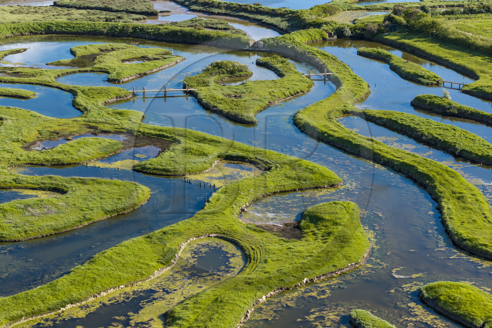 France, Vendée (85), Talmont-Saint-Hilaire, marais de la Guittière dans l'arrière pays de la Pointe du Payré, passage du Cul d’Ane, marais aménagés pour la pisciculture de dorades, mulets et anguilles (vue aérienne)