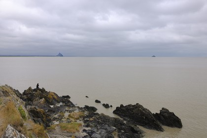 France, Manche (50), la Baie du Mont-Saint-Michel et le Mont depuis le Groin du Sud