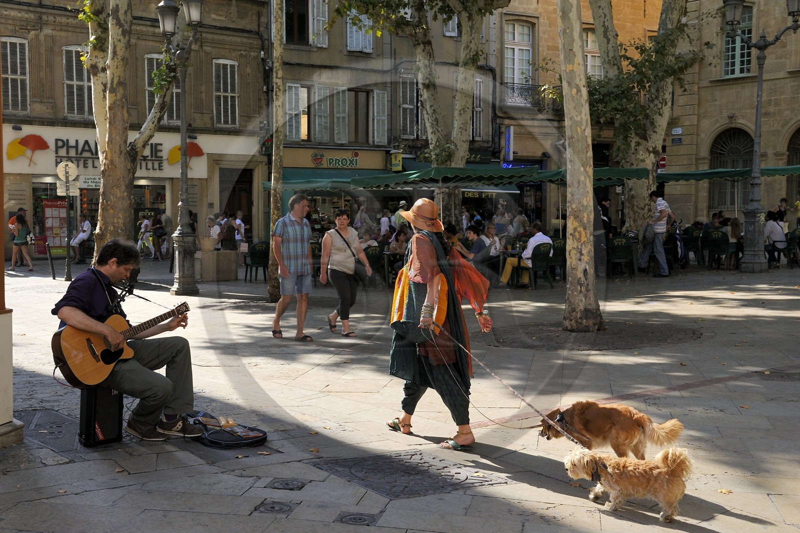 France, Bouches-du-Rhône (13), Aix-en-Provence, promenade des chiens et musicien de rue sur la place de l'Hôtel de ville