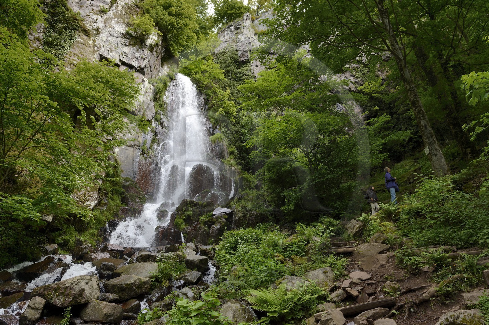 France, Bas-Rhin (67), entre Wangenbourg-Engenthal et Oberhaslach, la cascade du Nideck dans le massif des Vosges