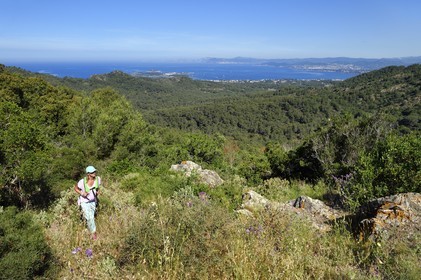 France, Var, Six Fours les Plages, hike in the Cap Sicie massif towards Notre-Dame du Mai chapel, Ile des Embiez in the background