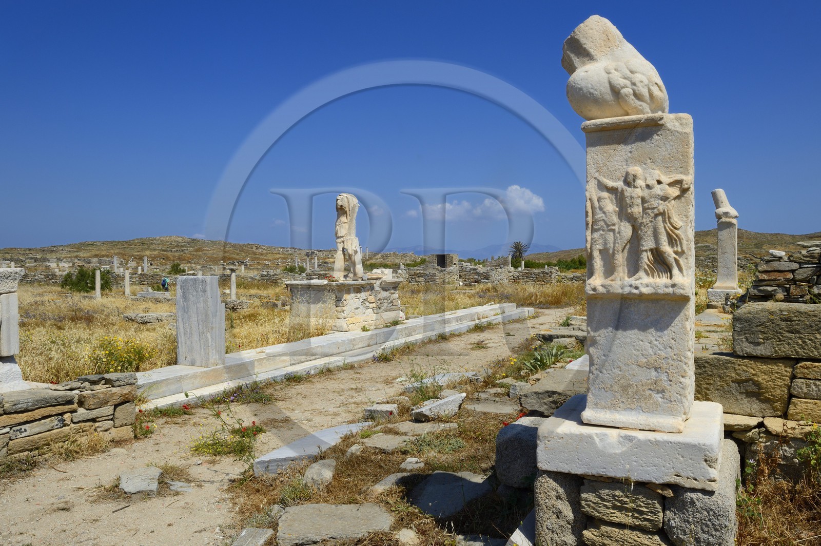 Grèce, île de Delos, classée Patrimoine Mondial de l'UNESCO, site archéologique de Délos, sanctuaire d'Apollon, la plus grande cité antique de la mer Egée, colonne avec phallus au Stoivadeion
