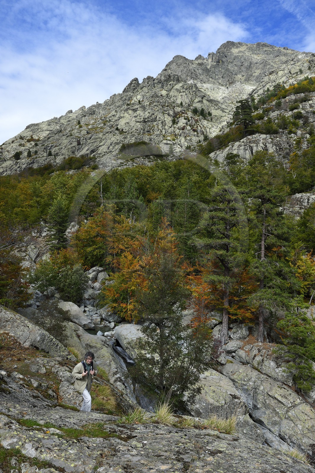 France, Haute-Corse (2B), Vivario, GR 20, étape entre le refuge de l'Onda et Vizzavona, foret de Vizzavona, les cascades des anglais, groupe de cascades dans la vallée de l'Agnone au pied du Monte d'Oro