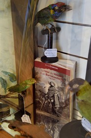 France, Alpes de Haute Provence, Ubaye valley, Barcelonnette, mexican villa known as Villa Sapiniere, Valley Museum, the Barcelonnette, industrial and traveler but also naturalist, collector, columnist, Emile Chabrand in Mexican charro suit on the cover of his book